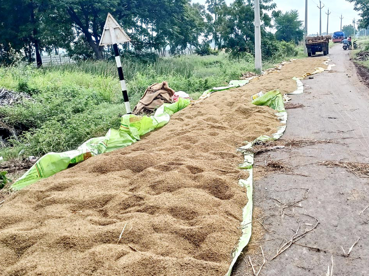 Cyclone Fengal Andhra Pradesh Photos12