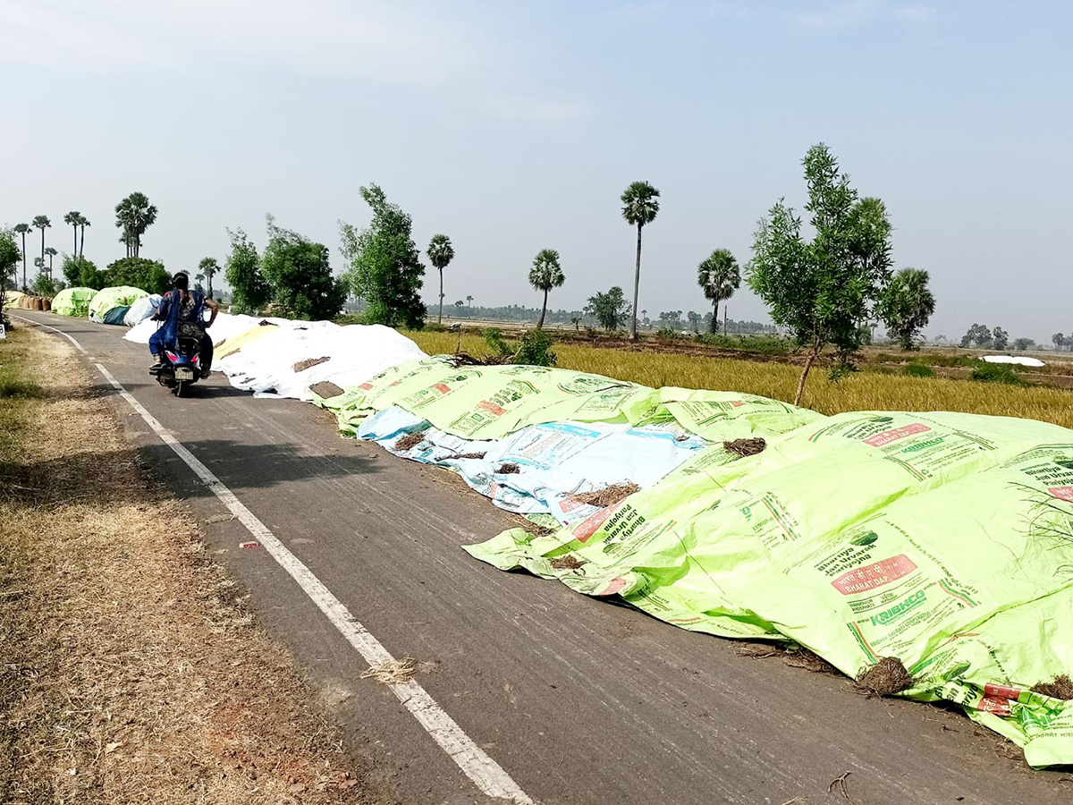 Cyclone Fengal Andhra Pradesh Photos13