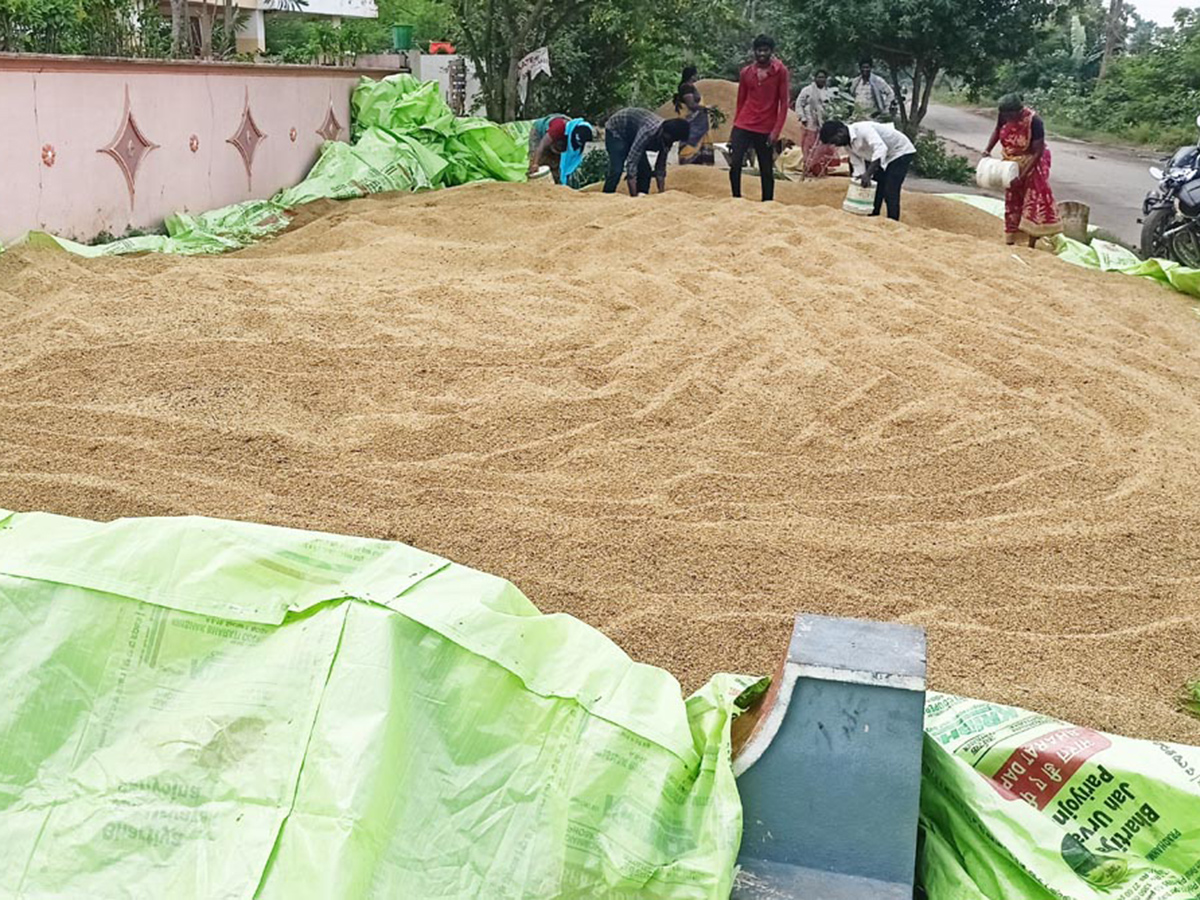 Cyclone Fengal Andhra Pradesh Photos14