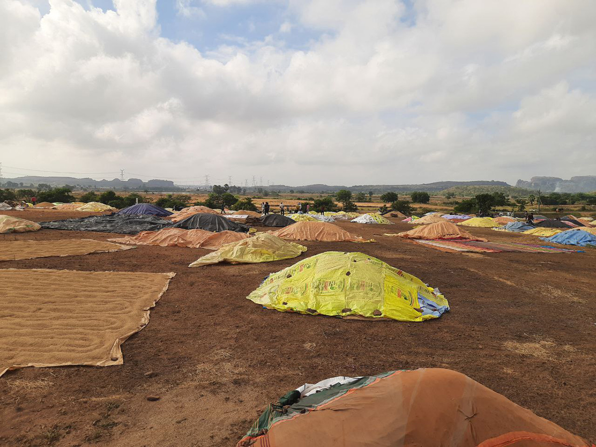 Cyclone Fengal Andhra Pradesh Photos16