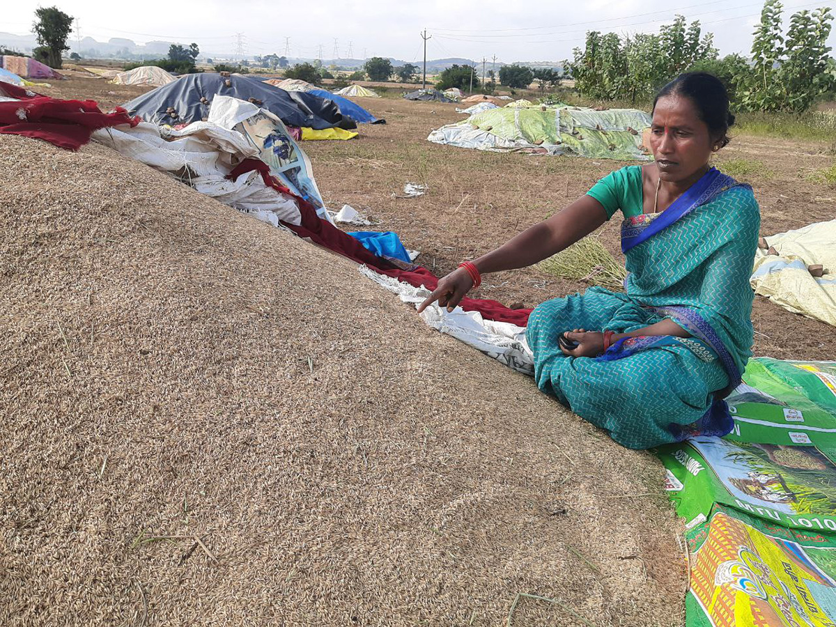 Cyclone Fengal Andhra Pradesh Photos17