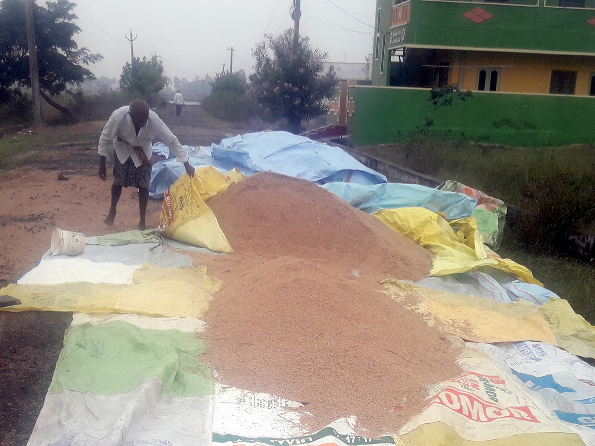 Cyclone Fengal Andhra Pradesh Photos19