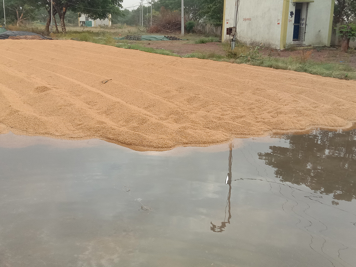 Cyclone Fengal Andhra Pradesh Photos2