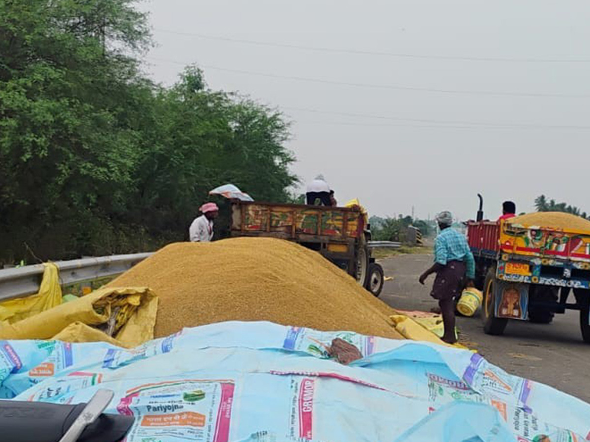 Cyclone Fengal Andhra Pradesh Photos20