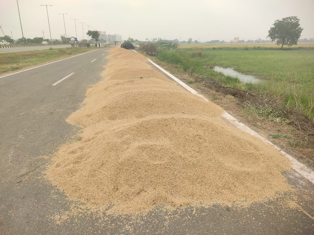 Cyclone Fengal Andhra Pradesh Photos21