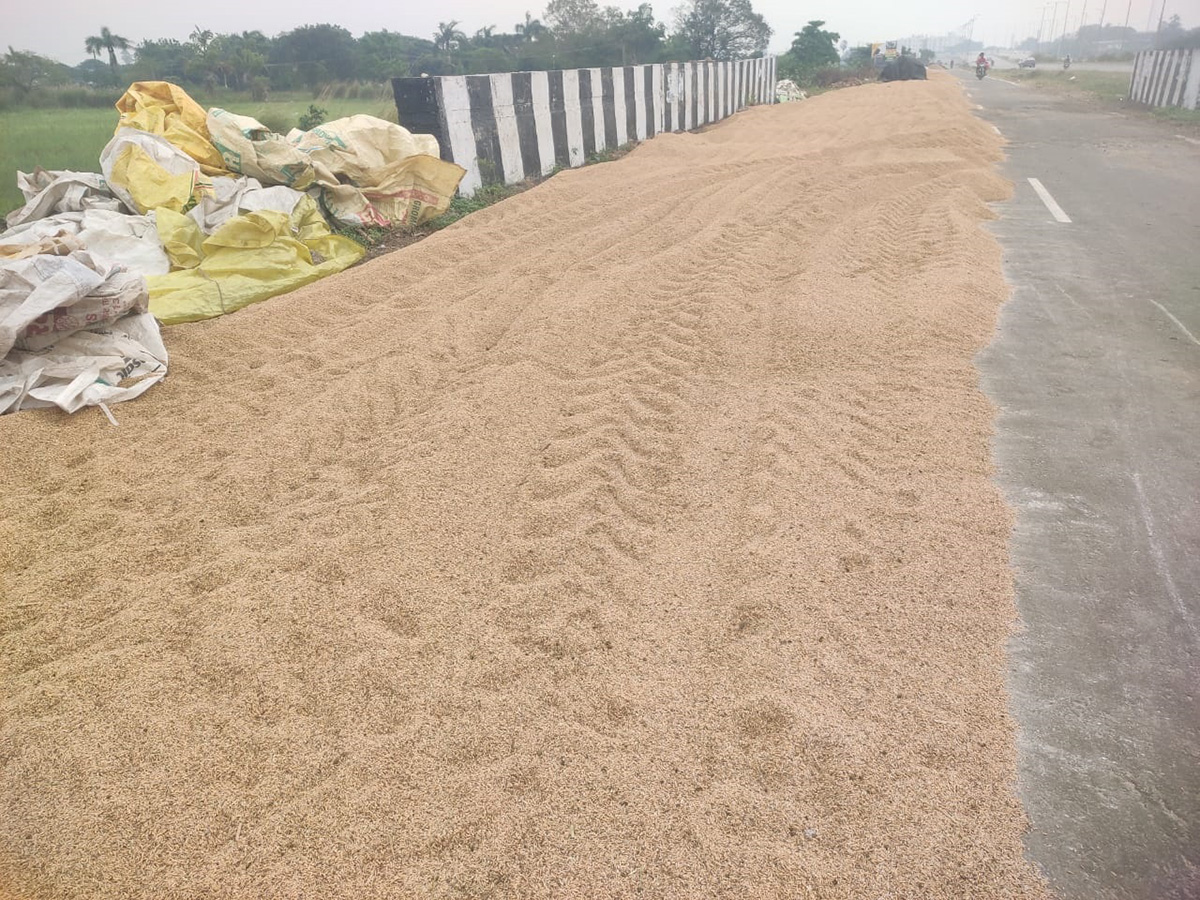 Cyclone Fengal Andhra Pradesh Photos22