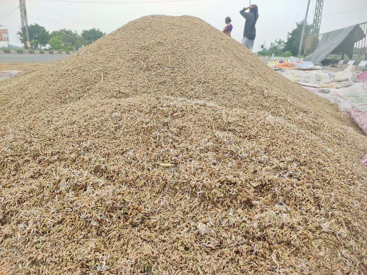 Cyclone Fengal Andhra Pradesh Photos24