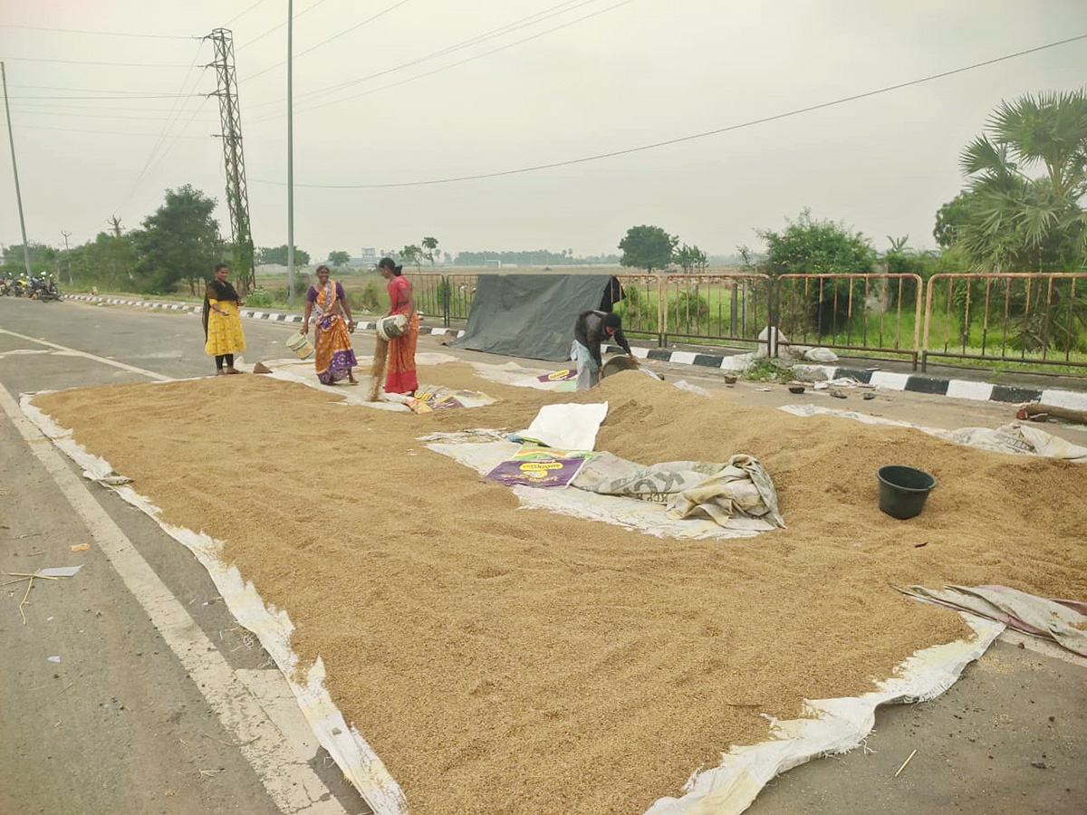 Cyclone Fengal Andhra Pradesh Photos25