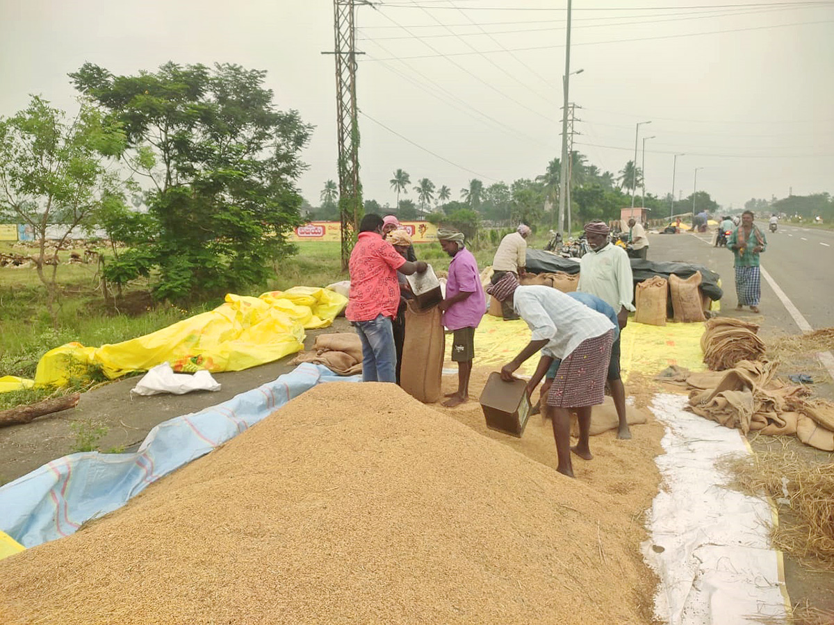 Cyclone Fengal Andhra Pradesh Photos26