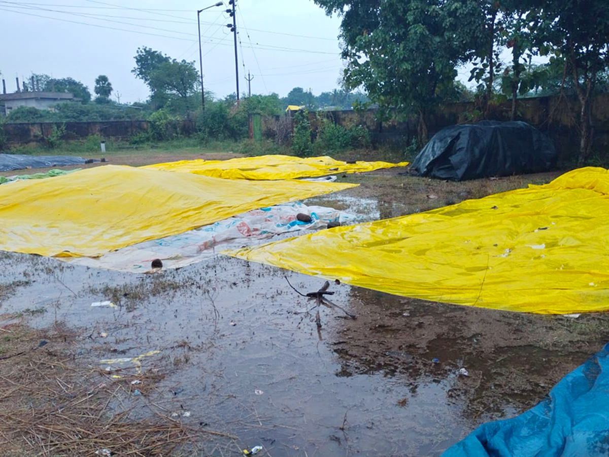 Cyclone Fengal Andhra Pradesh Photos27