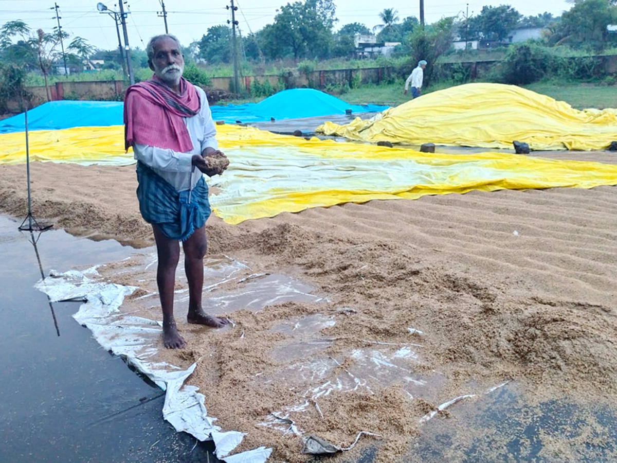 Cyclone Fengal Andhra Pradesh Photos28