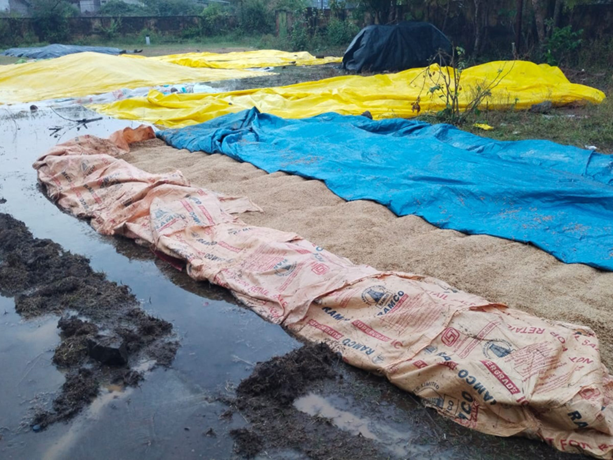 Cyclone Fengal Andhra Pradesh Photos29