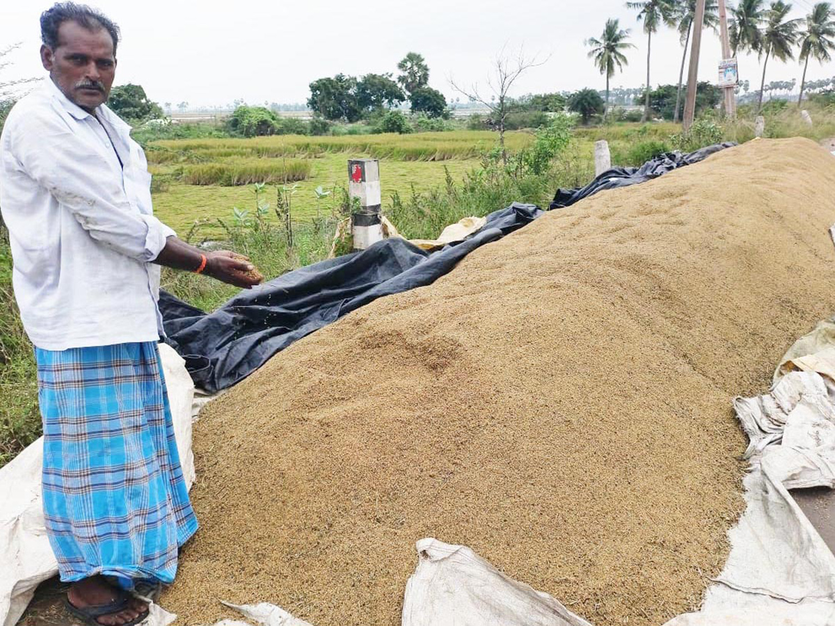 Cyclone Fengal Andhra Pradesh Photos4