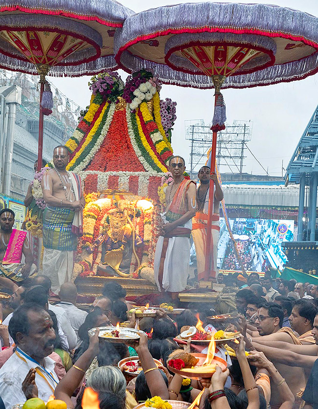 Tiruchanur Sri Padmavathi Thayar Brahmotsavam 2024 Pics16