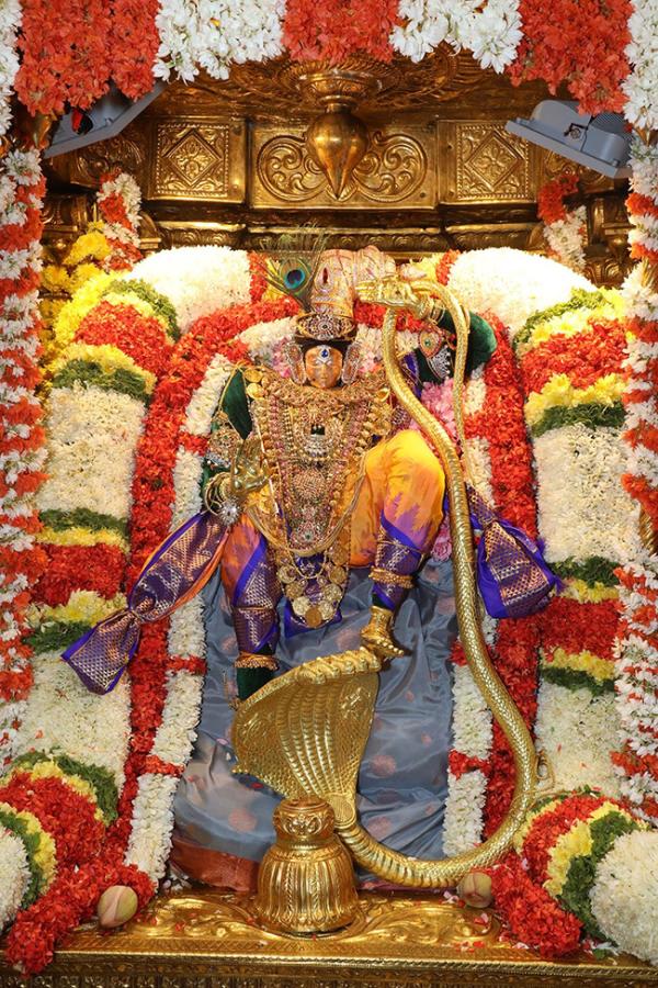 Tiruchanur Sri Padmavathi Thayar Brahmotsavam 2024 Pics22