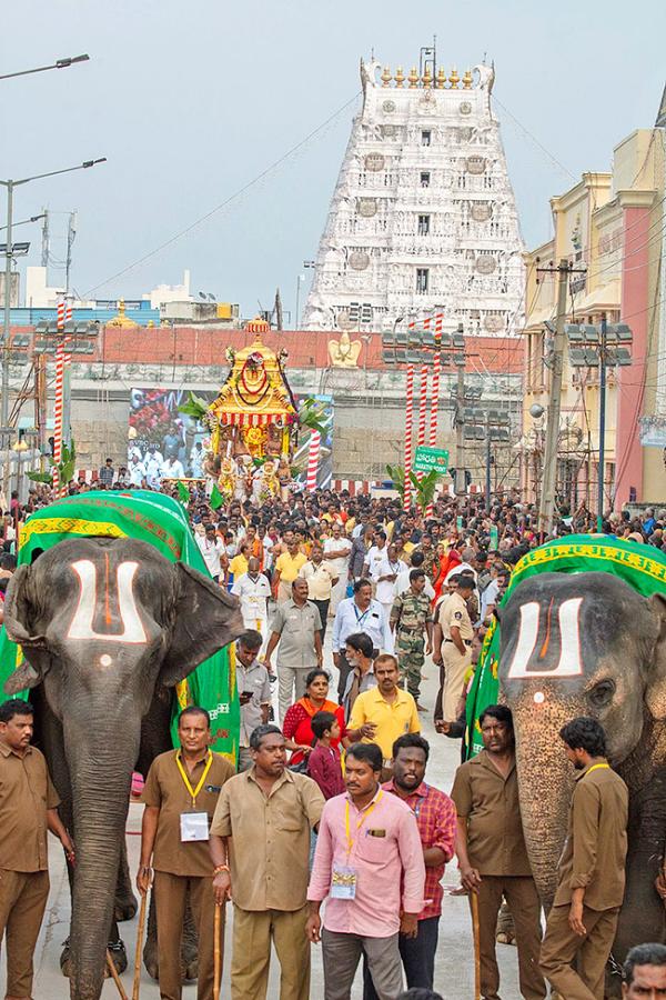 Tiruchanur Sri Padmavathi Thayar Brahmotsavam 2024 Pics5