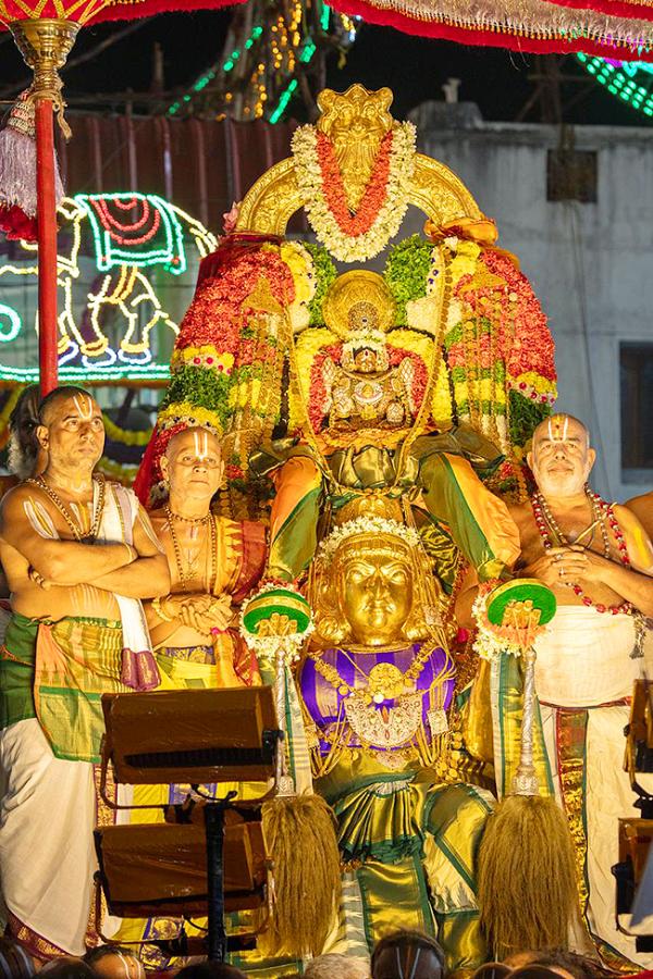 Tiruchanur Sri Padmavathi Thayar Brahmotsavam 2024 Pics8