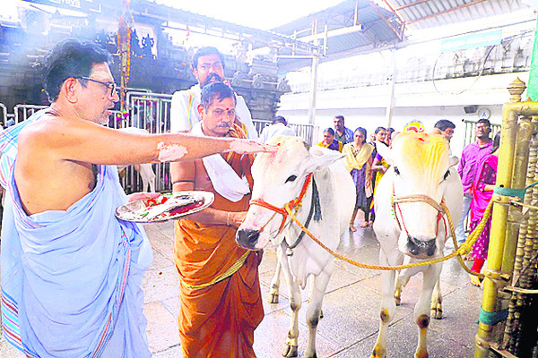 ఎములాడ రాజన్నకు మొక్కులు1