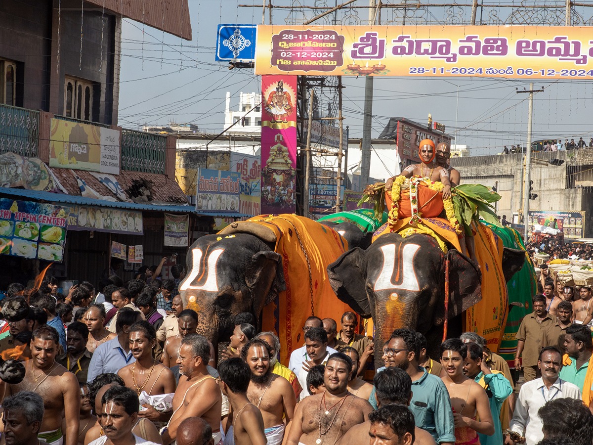 Tiruchanur Brahmotsavams grandly celebrated Panchamithirtham7