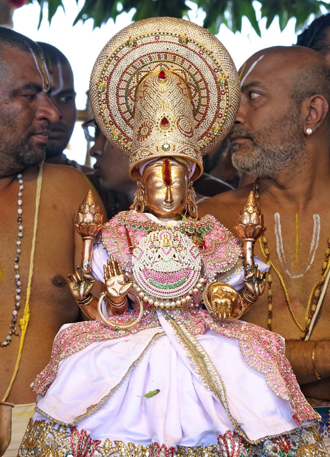 Tiruchanur Brahmotsavams grandly celebrated Panchamithirtham8