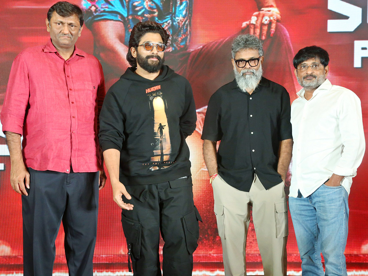 Pushpa 2 Blockbuster Success Press Meet Photos1