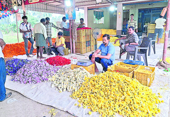 సిరుల చామంతి2