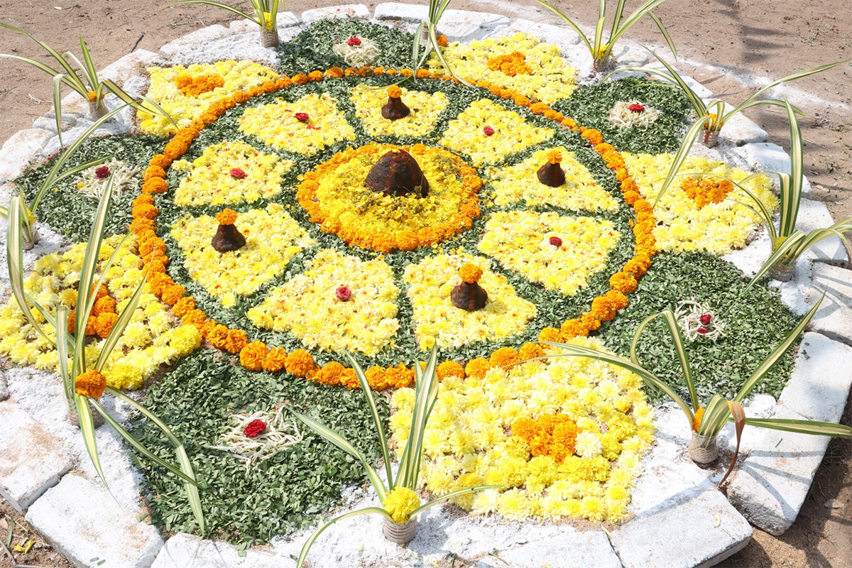 Sankranti Celebrations 2025 in Yogi Vemana University Kadapa district3