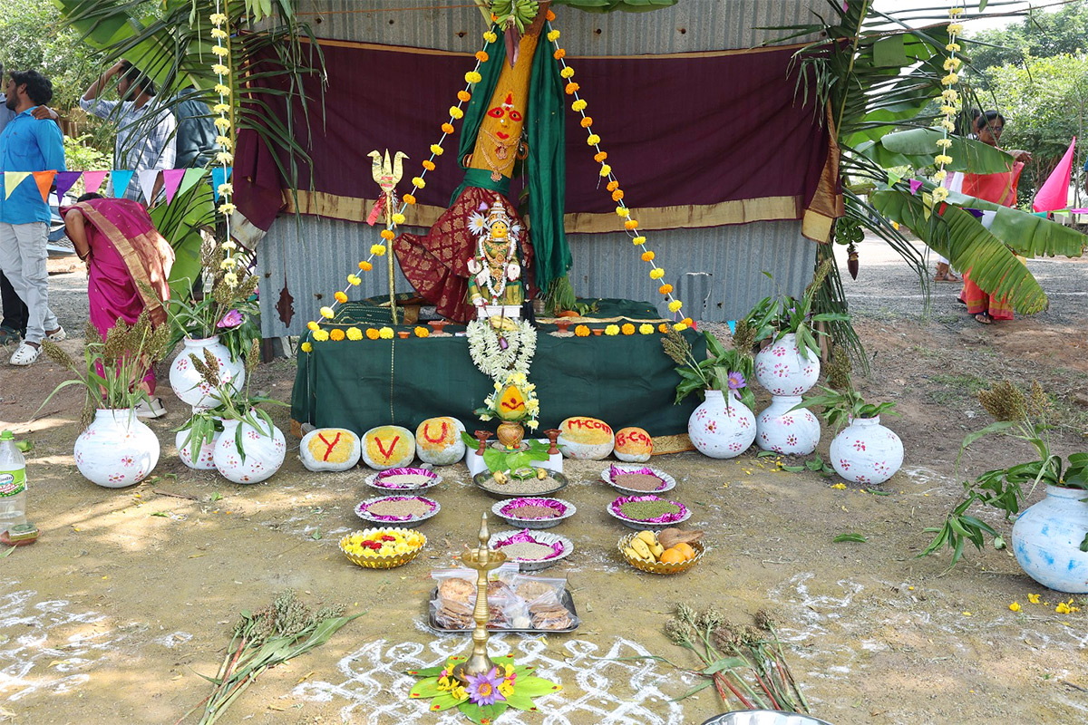 Sankranti Celebrations 2025 in Yogi Vemana University Kadapa district4