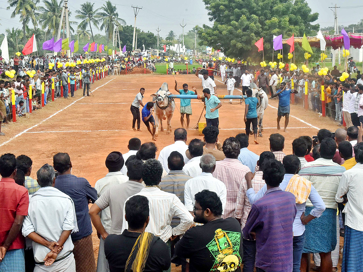 Sankranti 2025 : Bull Race in Nellore District Photos Goes Viral14