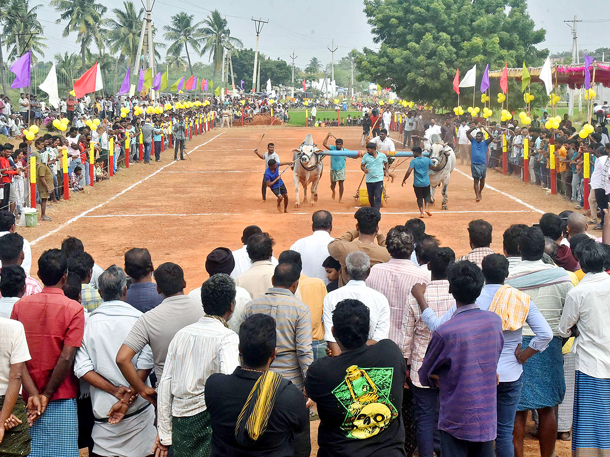 Sankranti 2025 : Bull Race in Nellore District Photos Goes Viral17