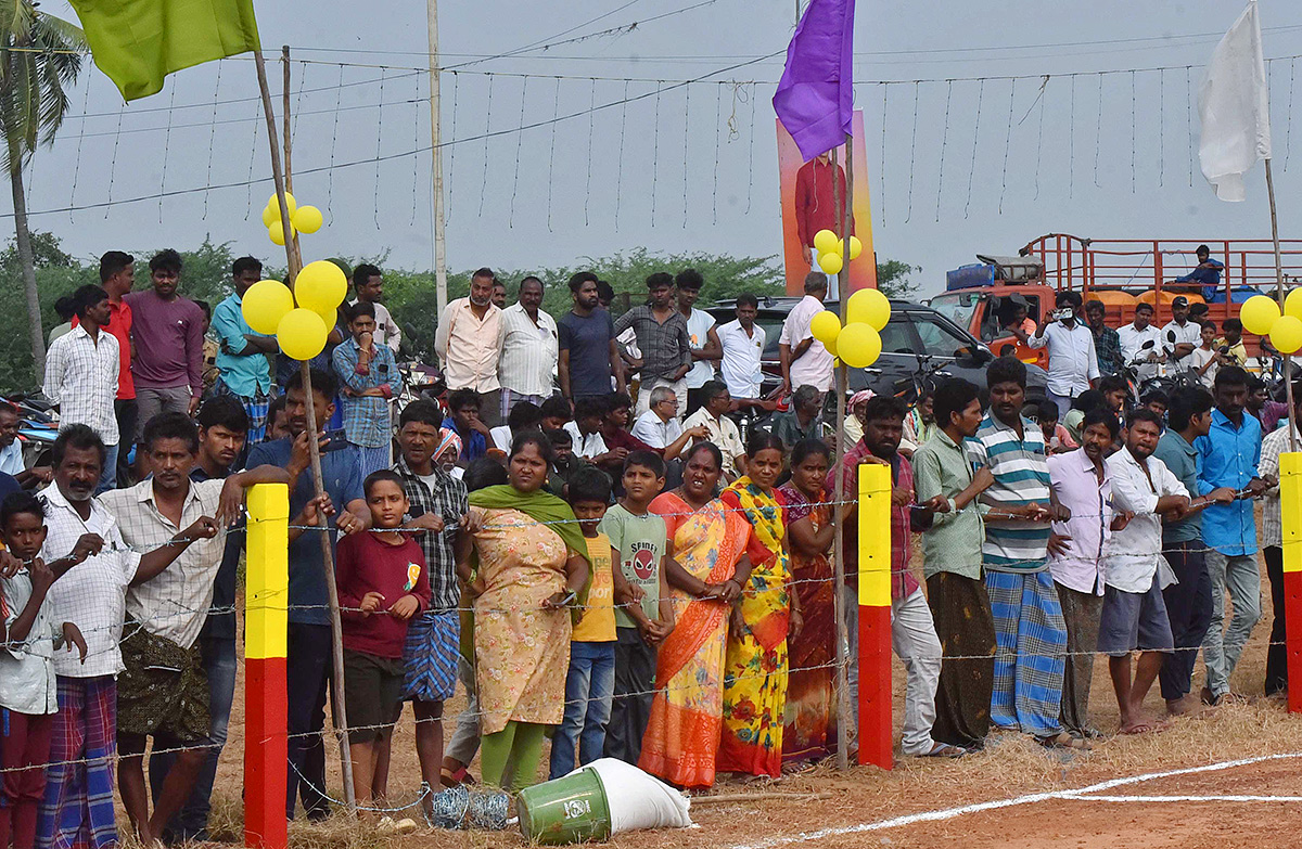 Sankranti 2025 : Bull Race in Nellore District Photos Goes Viral23