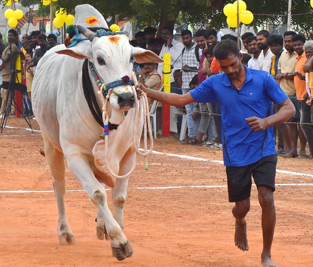 Sankranti 2025 : Bull Race in Nellore District Photos Goes Viral6