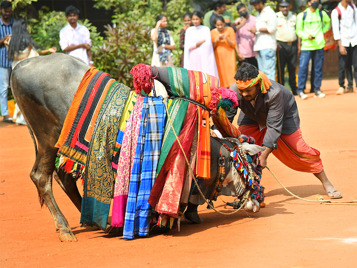 sankranti celebration 2025 at Vijayawada29