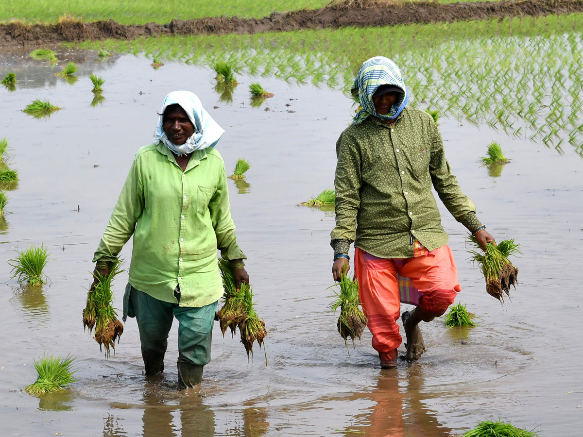 Best Photos of The Week in AP and Telangana Photo Gallery27