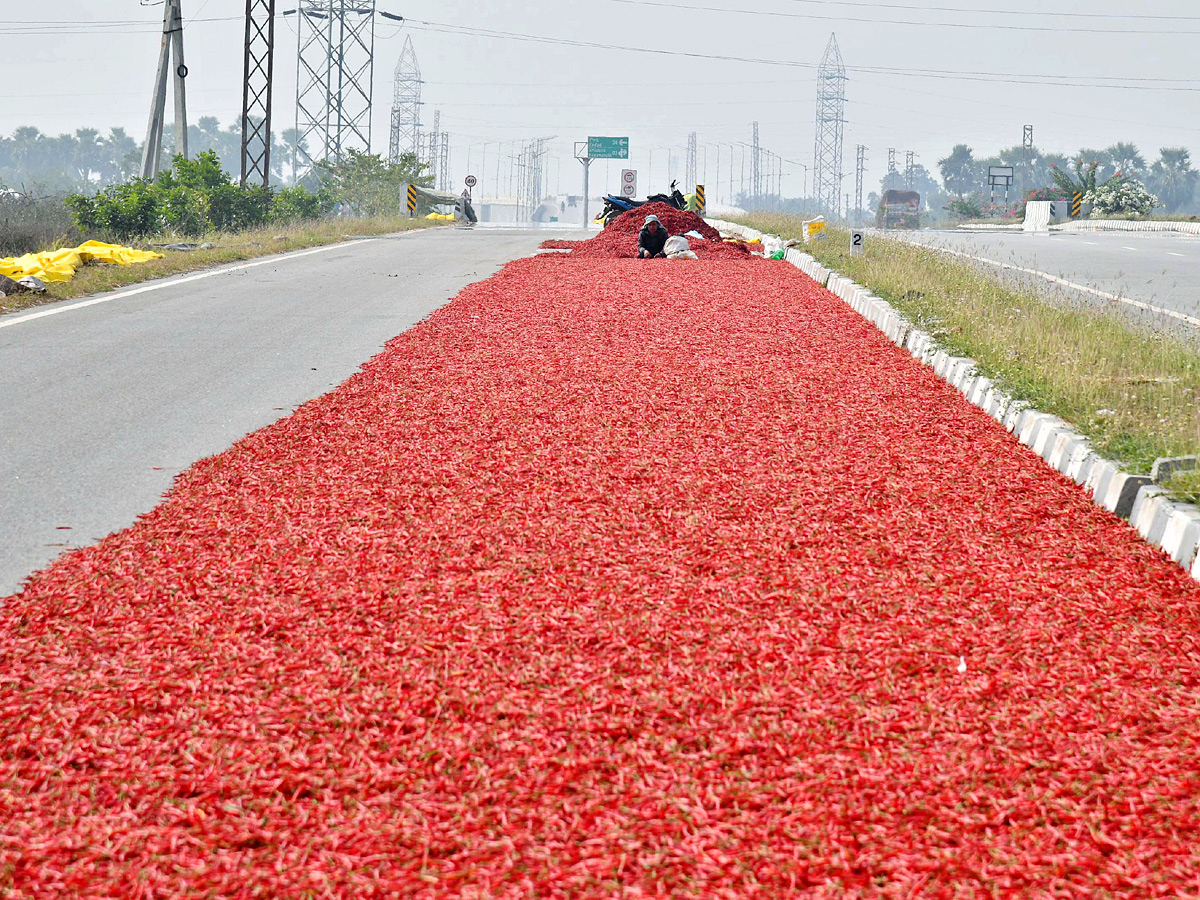 Best Photos of The Week in AP and Telangana Photo Gallery29