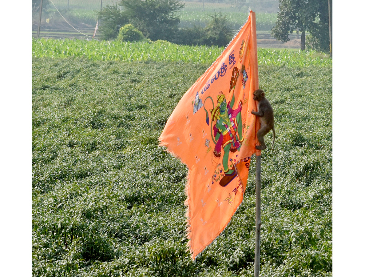 Best Photos of The Week in AP and Telangana Photo Gallery33