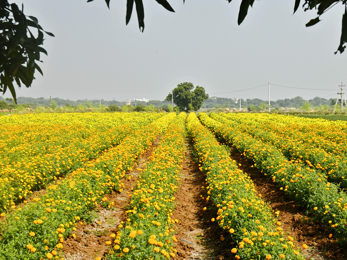 Best Photos of The Week in AP and Telangana Photo Gallery6