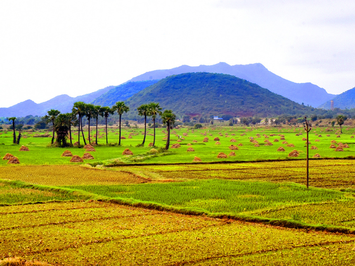 Best Photos of The Week in AP and Telangana Photo Gallery66