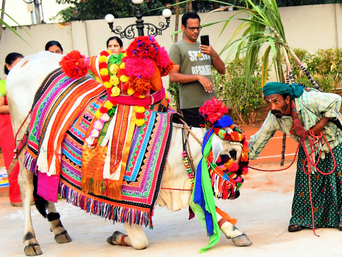 Sankranti Celebration In Vijayawada10