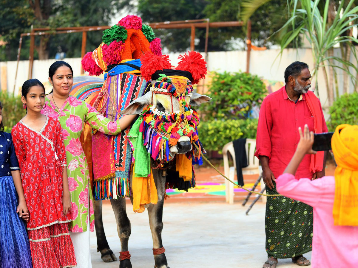 Sankranti Celebration In Vijayawada12