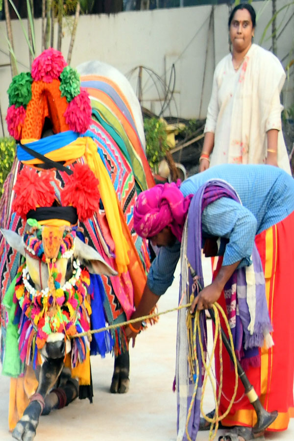 Sankranti Celebration In Vijayawada13