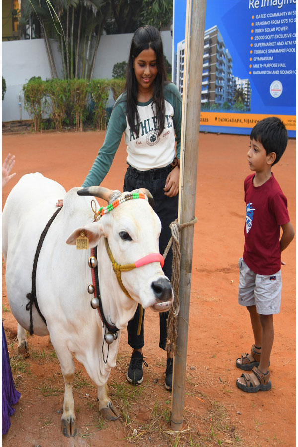 Sankranti Celebration In Vijayawada7