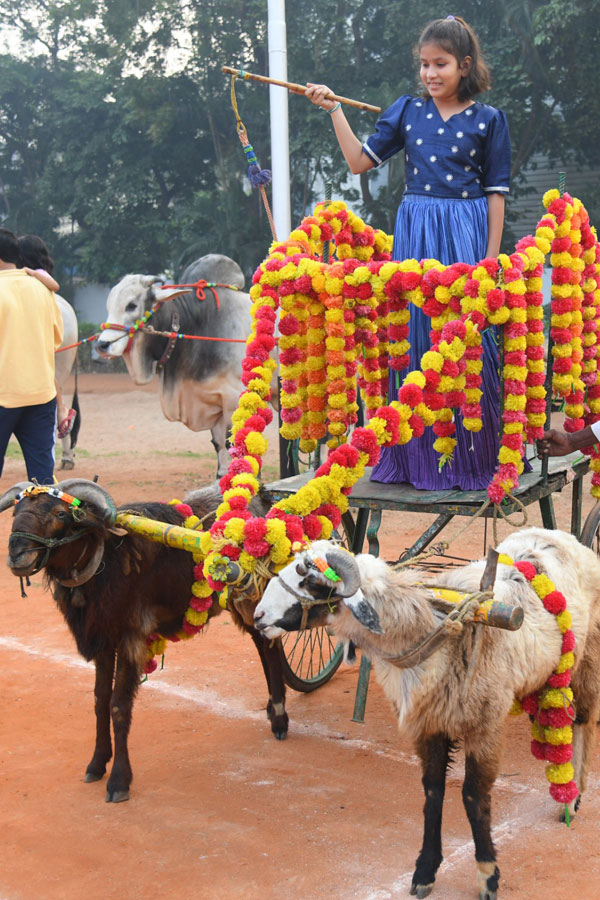 Sankranti Celebration In Vijayawada9