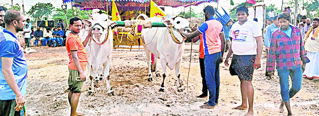 సంప్రదాయ పోటీలు నిర్వహించడం ఆదర్శనీయం 1