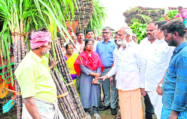 పెద్ద పండుగ సందడి3