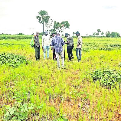 గౌరవెల్లి ప్రాజెక్టుపై ఫోకస్‌1