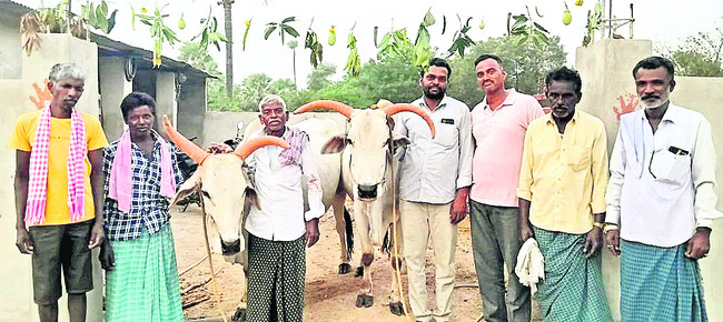 విలీన గ్రామాన్ని విడదీయండి
4