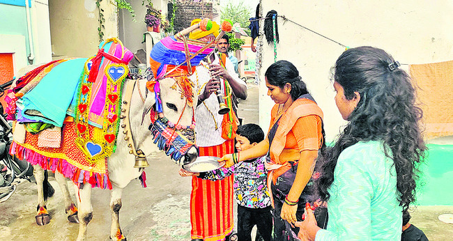 సంక్రాంతి పండగను జిల్లా వాసులు సంప్రదాయబద్ధంగా నిర్వహిం2