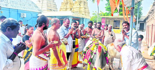 సంక్రాంతి పండగను జిల్లా వాసులు సంప్రదాయబద్ధంగా నిర్వహిం1