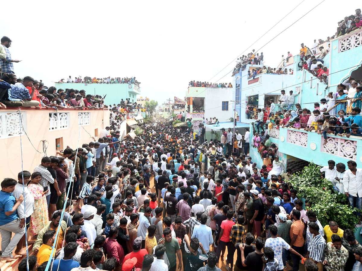 Jallikattu Celebrations In Tirupati District Photo Gallery3